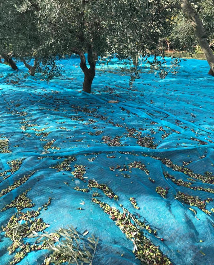 Reti per agricoltura