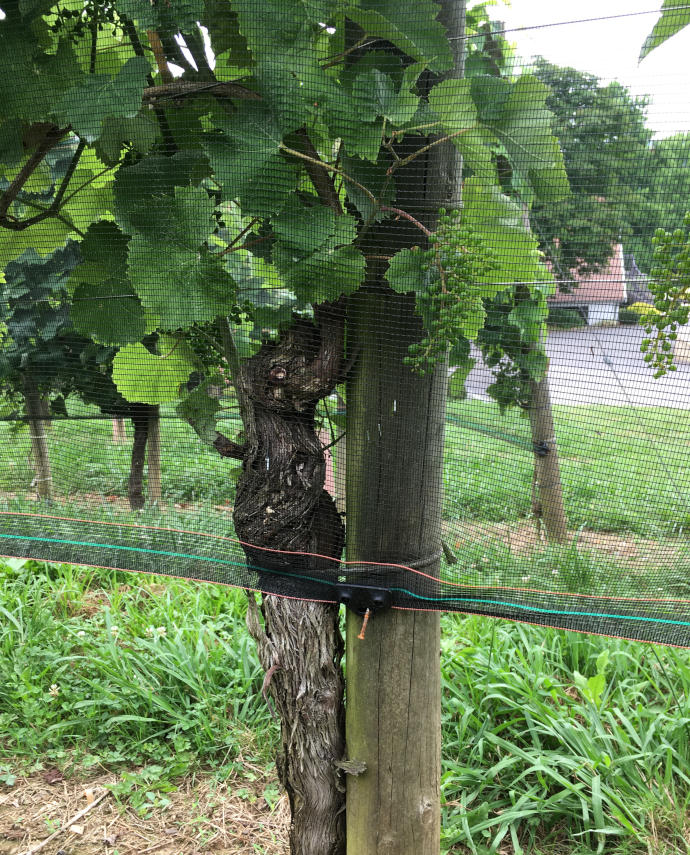 Reti per garden, serre e antigrandine