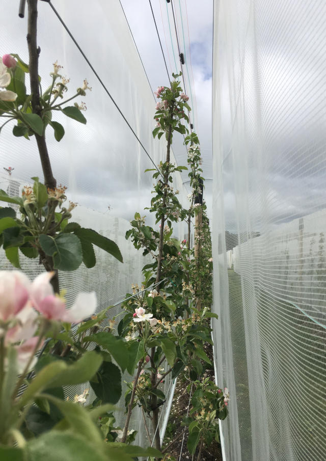 PRP Produzione Reti Plastiche per agricoltura, serre e antigrandine