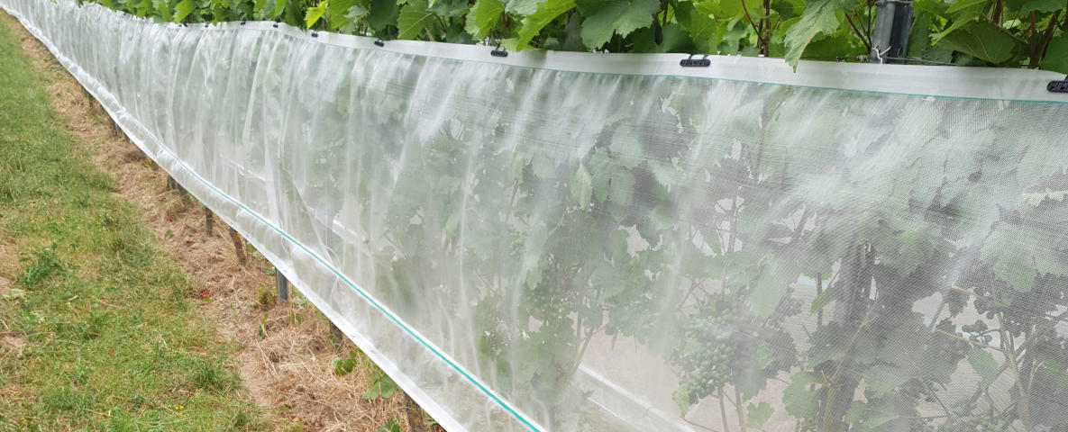 PRP Produzione Reti Plastiche per agricoltura, serre e antigrandine
